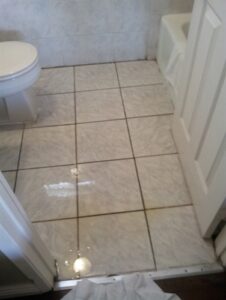 Stone Care/Tile and Grout Cleaning Class, IICRC CEC