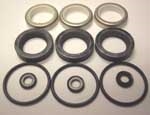KIT SEALS HOT & DRY - (CAT 5CP2150)