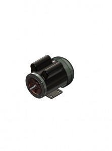 C329 Pump Motor 500/1000 PSI