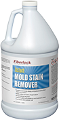 Instant Mold Stain Remover