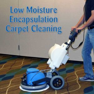 Amazon Com Edic Polaris Self Contained Carpet Extractor Home Kitchen
