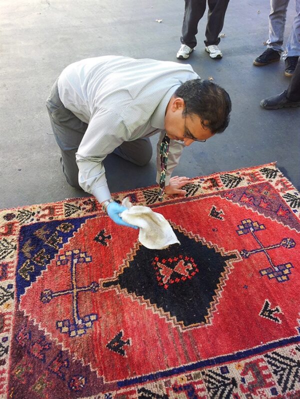 Start a carpet cleaning business