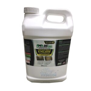 RMR 86 Rapid Mold Remover 2.5 Gallons 300x300