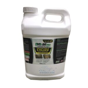 RMR 86 Rapid Mold Remover 2.5 Gallons