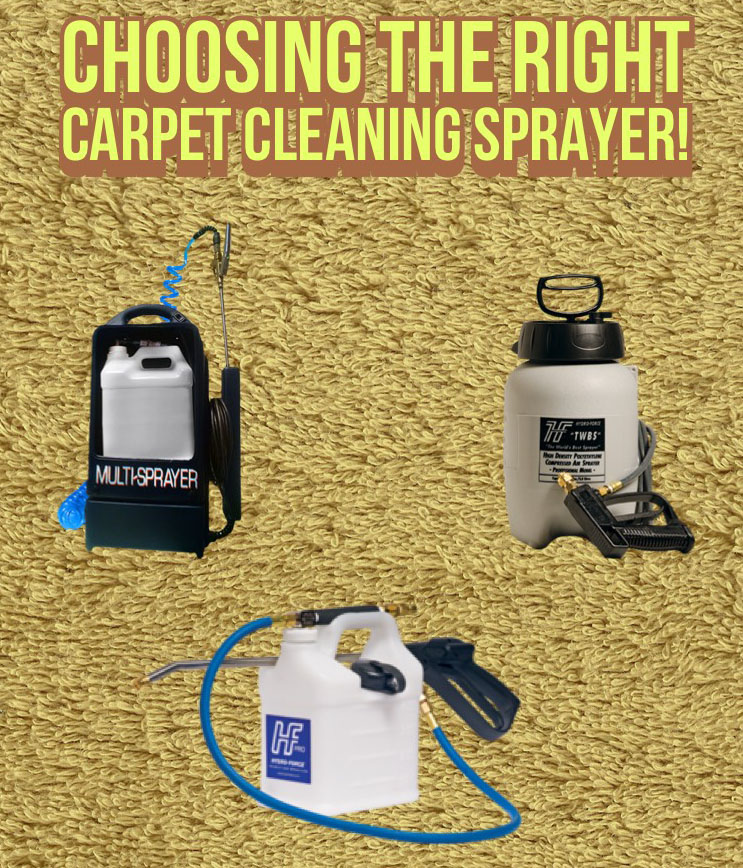 carpet cleaning